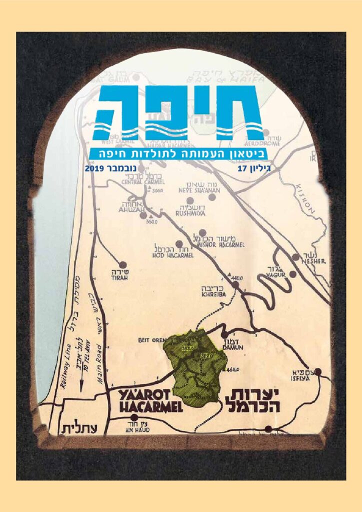thumbnail of גיליון 17 (2019)